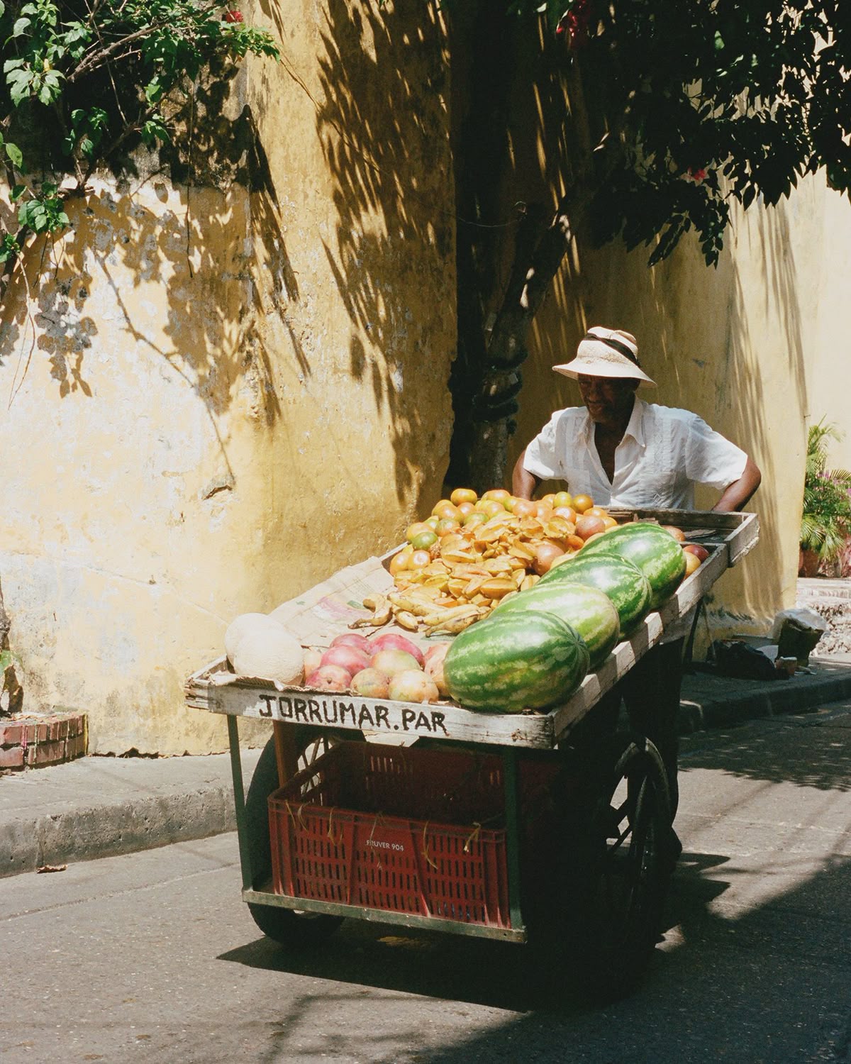 An image that pushes past the tropical clichés of the continent.